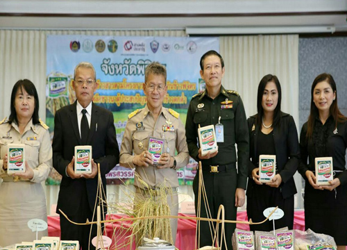 ผู้ว่าฯพิจิตรทำข้าวถุง “ดาวชาละวัน”ช่วยชาวนา