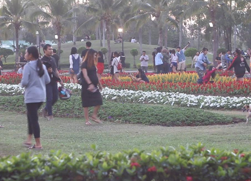 ขอนแก่นแห่ชมมหัศจรรย์พรรณไม้ถวายพ่อหลวง