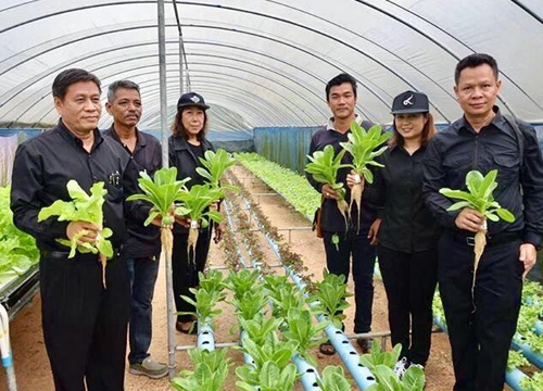 วิศวกรหนุ่มตะกั่วป่ายึดหลักเศรษฐกิจพอเพียง