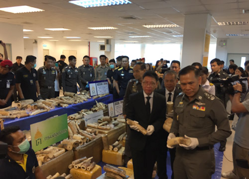 ตร.แถลงจับชาวมาลาวีลักลอบค้างาช้างค่า16.5ล.
