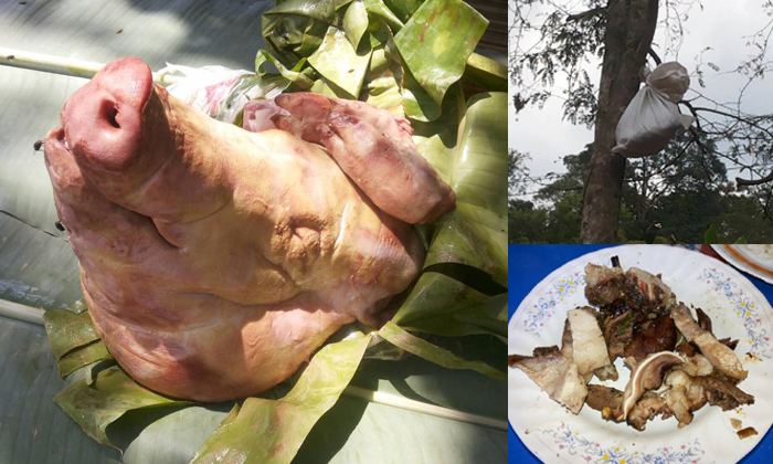 เปิบพิสดาร! หมูเน่าลอยฟ้า อาหารบ้านป่าสุดฮิตชาวบ้านนาคูหา จ.แพร่