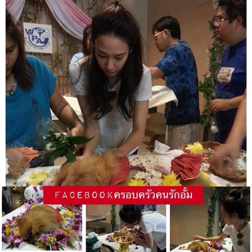 คลิกชมภาพต่อไป