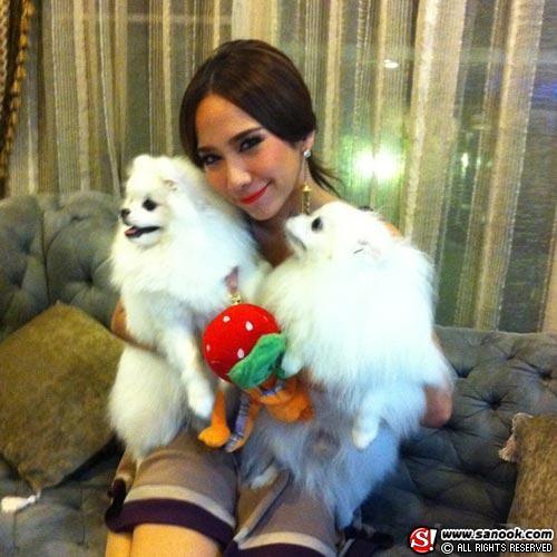 คลิกชมภาพต่อไป