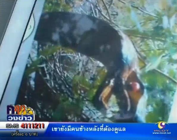 คลิกชมภาพต่อไป คลิกชมภาพต่อไป