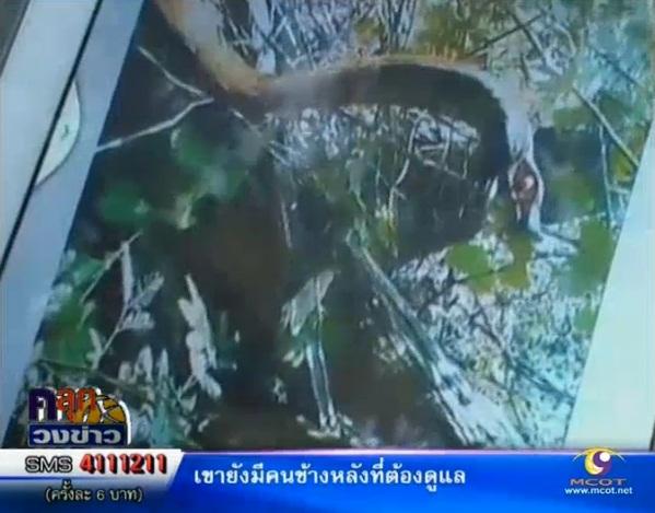 คลิกชมภาพต่อไป คลิกชมภาพต่อไป