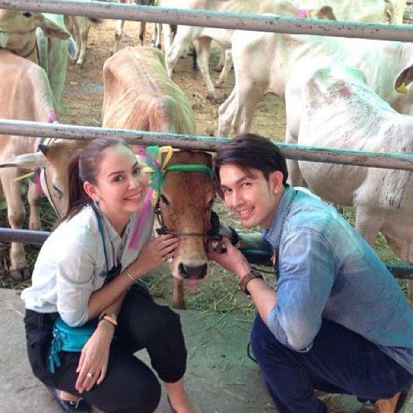 คลิกชมภาพต่อไป คลิกชมภาพต่อไป