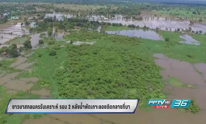 ชาวนาสกลนครทุกข์ซ้ำ หลังน้ำพัดวัชพืชติดกลางที่นา