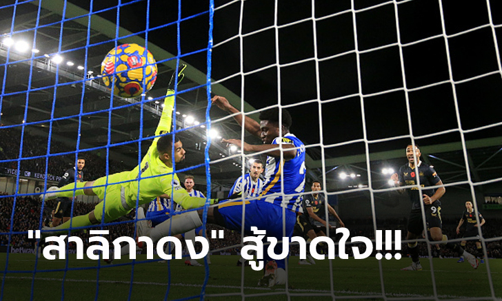 ไร้ชัย 11 เกมติด! นิวคาสเซิ่ล ยังแย่บุกแบ่งแต้ม ไบรท์ตัน 1-1 จมท้ายตาราง