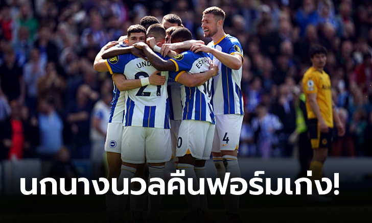 เบิ้ลกัน 3 คน! ไบรท์ตัน โคตรโหดเปิดบ้านถล่มยับ วูล์ฟแฮมป์ตัน 6-0