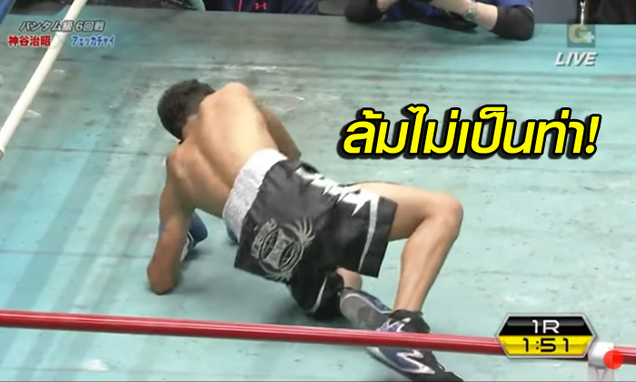 สุดอับอาย! สมาคมมวยญี่ปุ่นสั่งแบน \